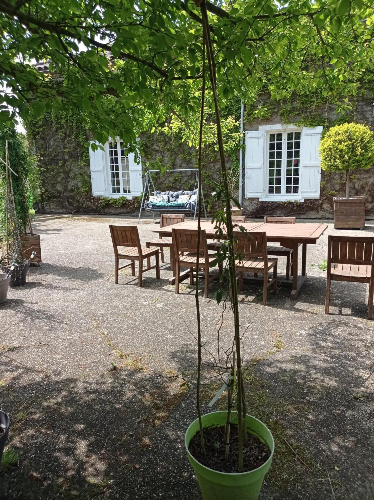 Le Chateau De Roquebere コンドン エクステリア 写真